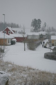 IMGP0240